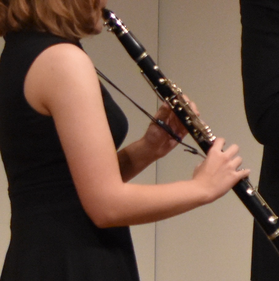 Read more about the article Teaching Beginner Clarinet Lessons.